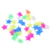 Star Glow in the Dark Accessories